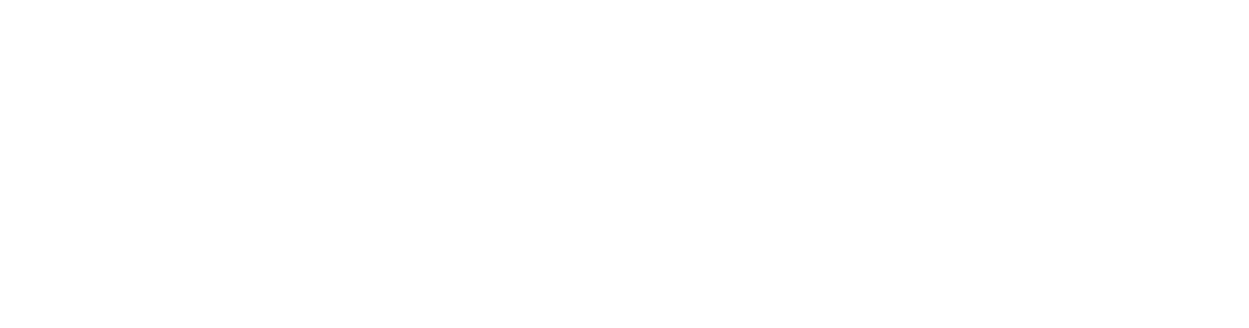 NER0 Logo